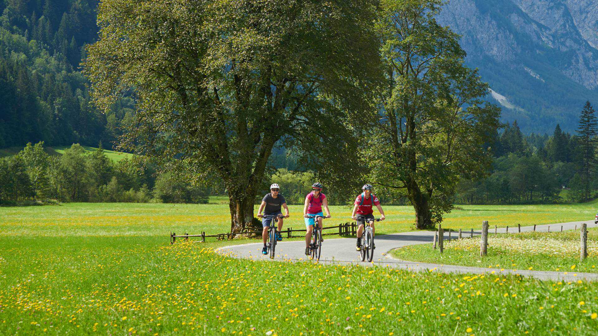 daljinske_kolesarske_poti_mainphoto_050