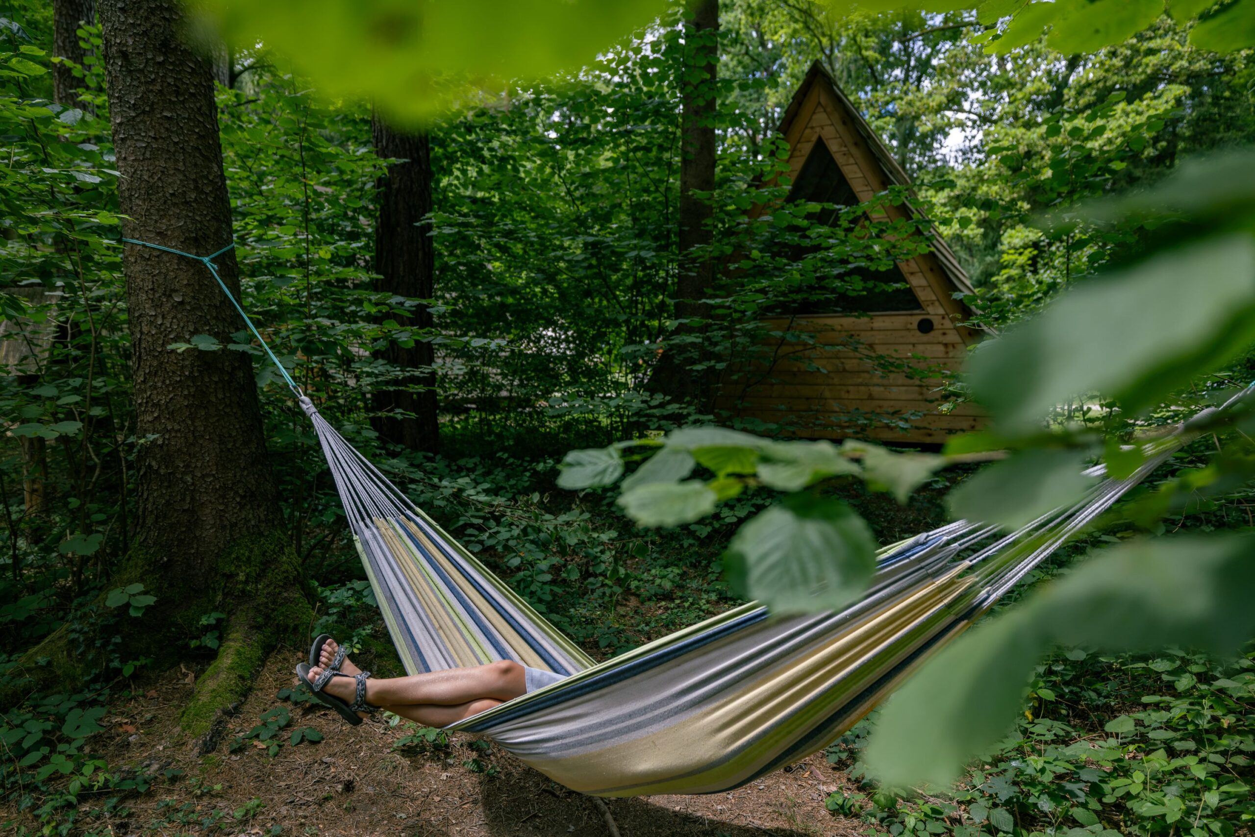 Forest_camping_Mozirje_6_7_2026_foto_Nik_Jarh_102 Forest_camping_Mozirje_6_7_2026_foto_Nik_Jarh_102
