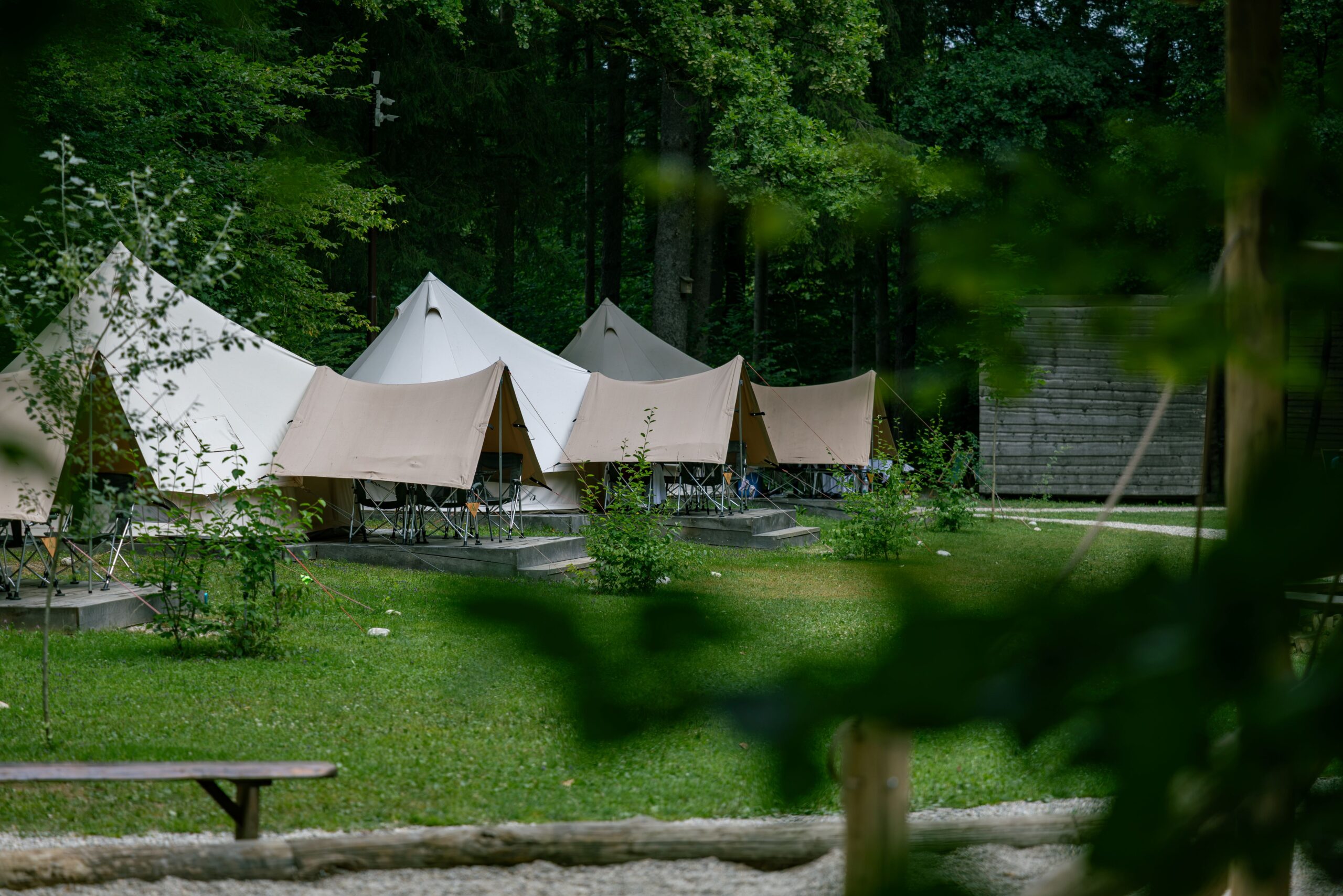 Forest_camping_Mozirje_6_7_2026_foto_Nik_Jarh_65 Forest_camping_Mozirje_6_7_2026_foto_Nik_Jarh_65