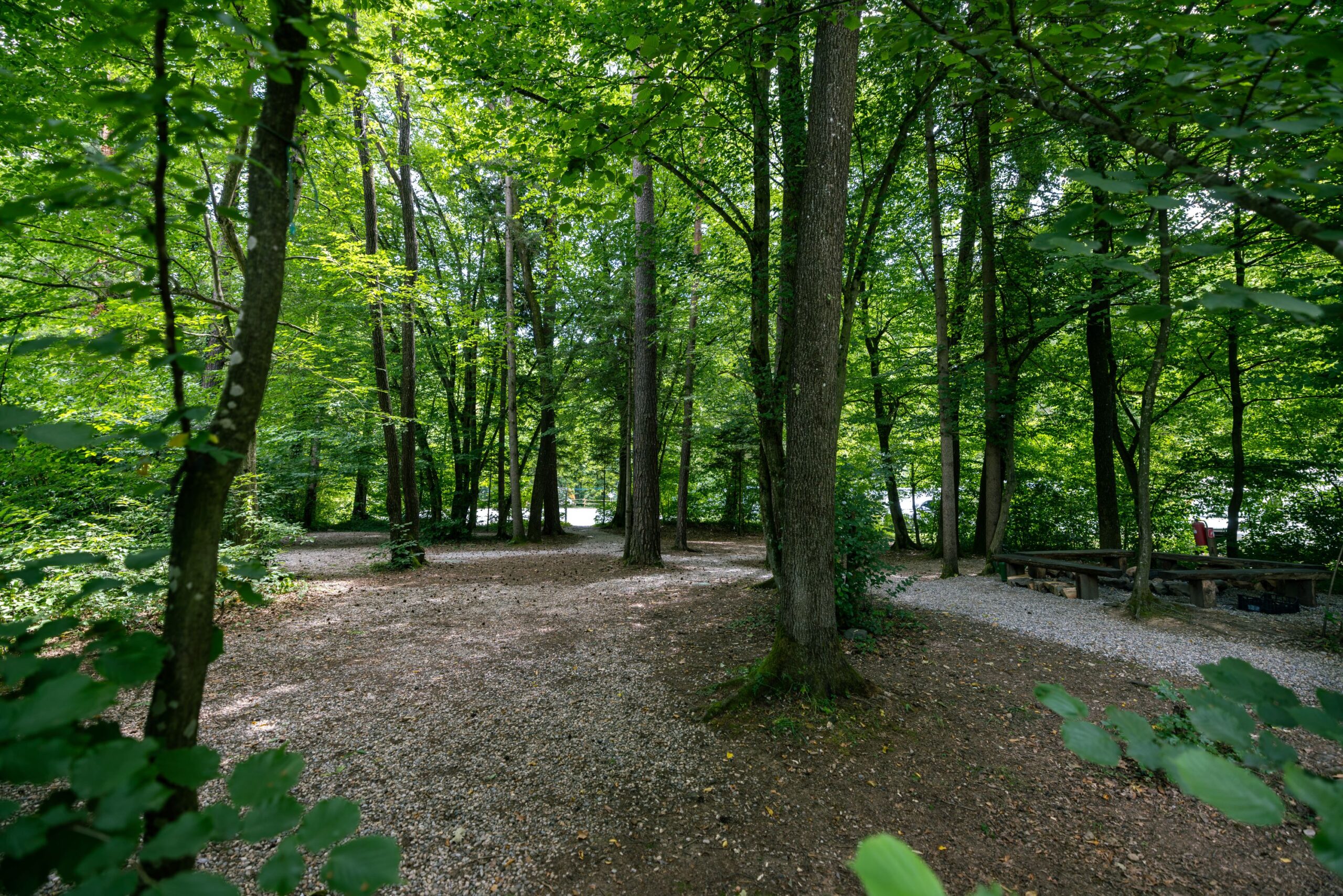 Forest_camping_Mozirje_6_7_2026_foto_Nik_Jarh_72 Forest_camping_Mozirje_6_7_2026_foto_Nik_Jarh_72