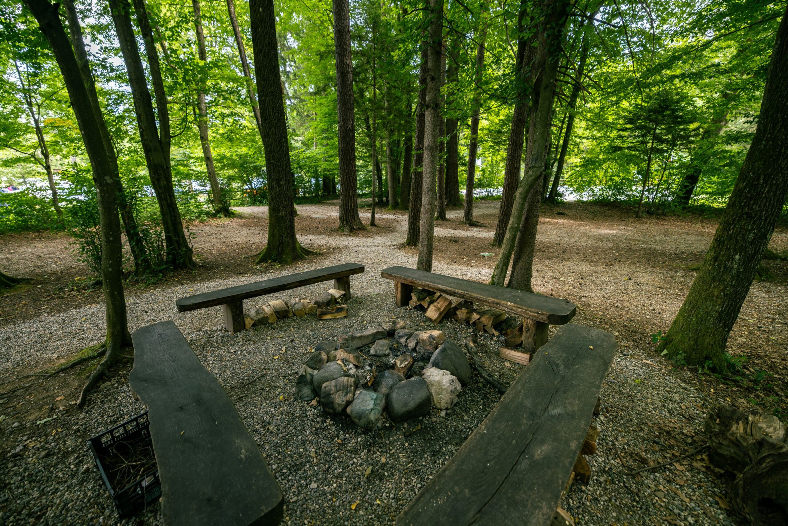 Forest_camping_Mozirje_6_7_2026_foto_Nik_Jarh_73 Forest_camping_Mozirje_6_7_2026_foto_Nik_Jarh_73