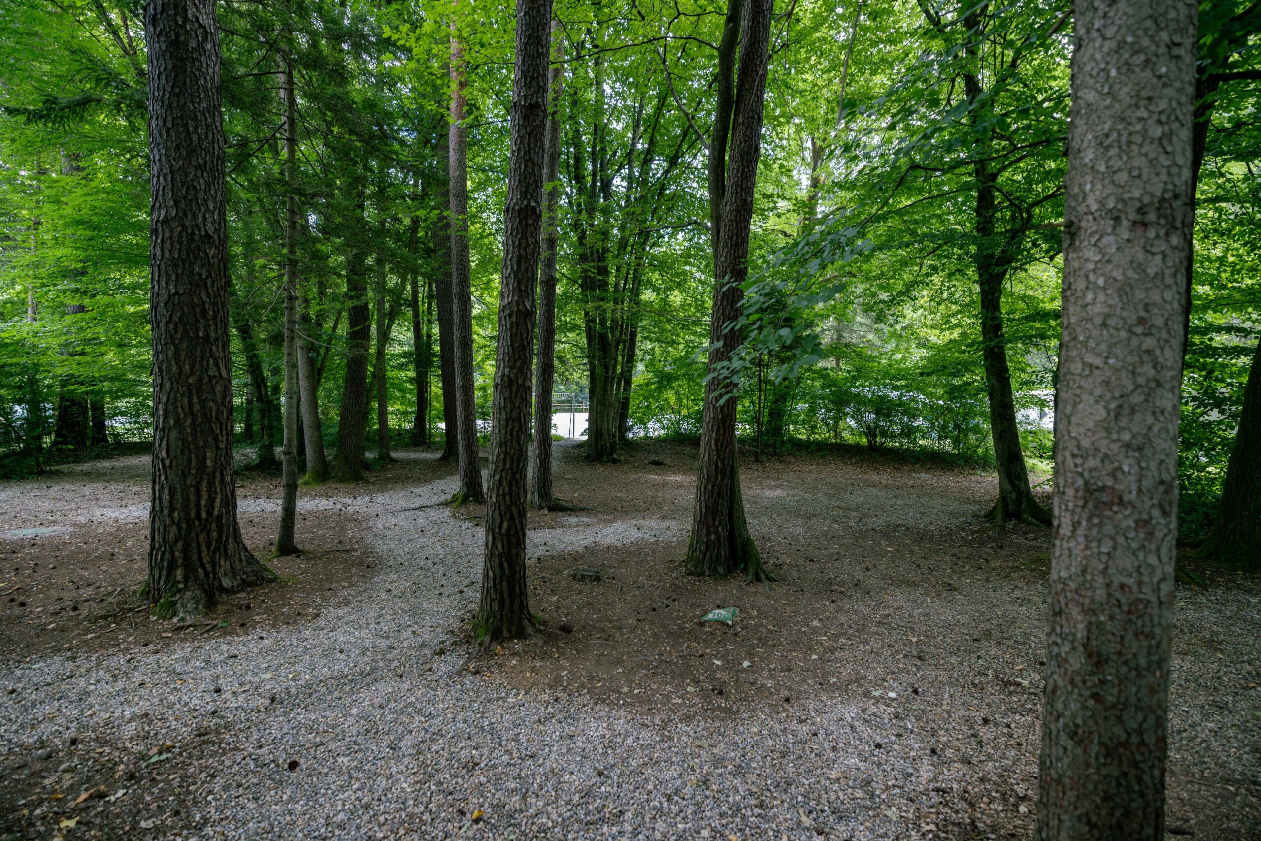Forest_camping_Mozirje_6_7_2026_foto_Nik_Jarh_74 Forest_camping_Mozirje_6_7_2026_foto_Nik_Jarh_74
